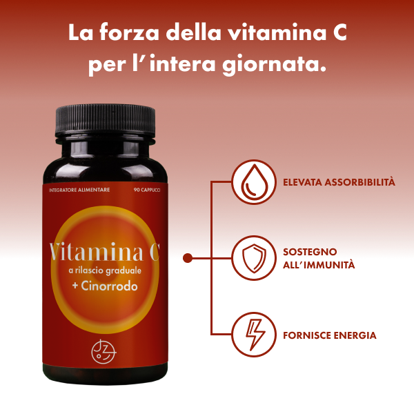 Vitamina C a rilascio graduale + cinorrodo - 90 compresse