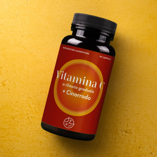 Vitamina C a rilascio graduale + cinorrodo - 90 compresse