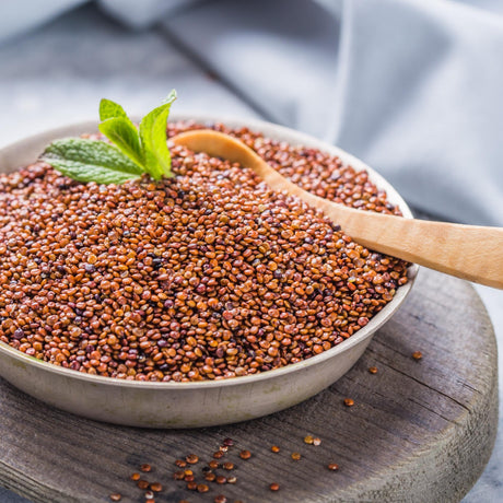 Quinoa rossa