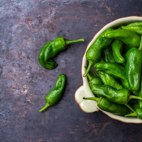 Peperoncino jalapeño