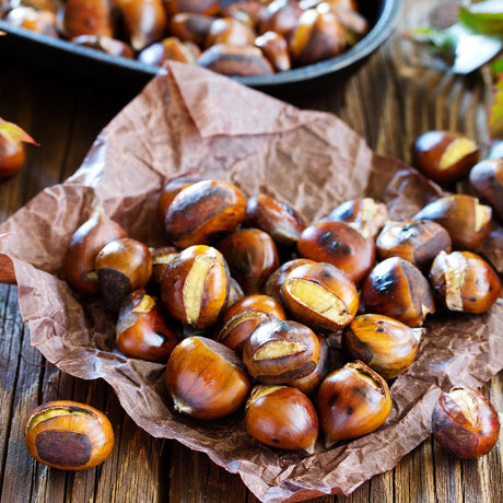 Castagne