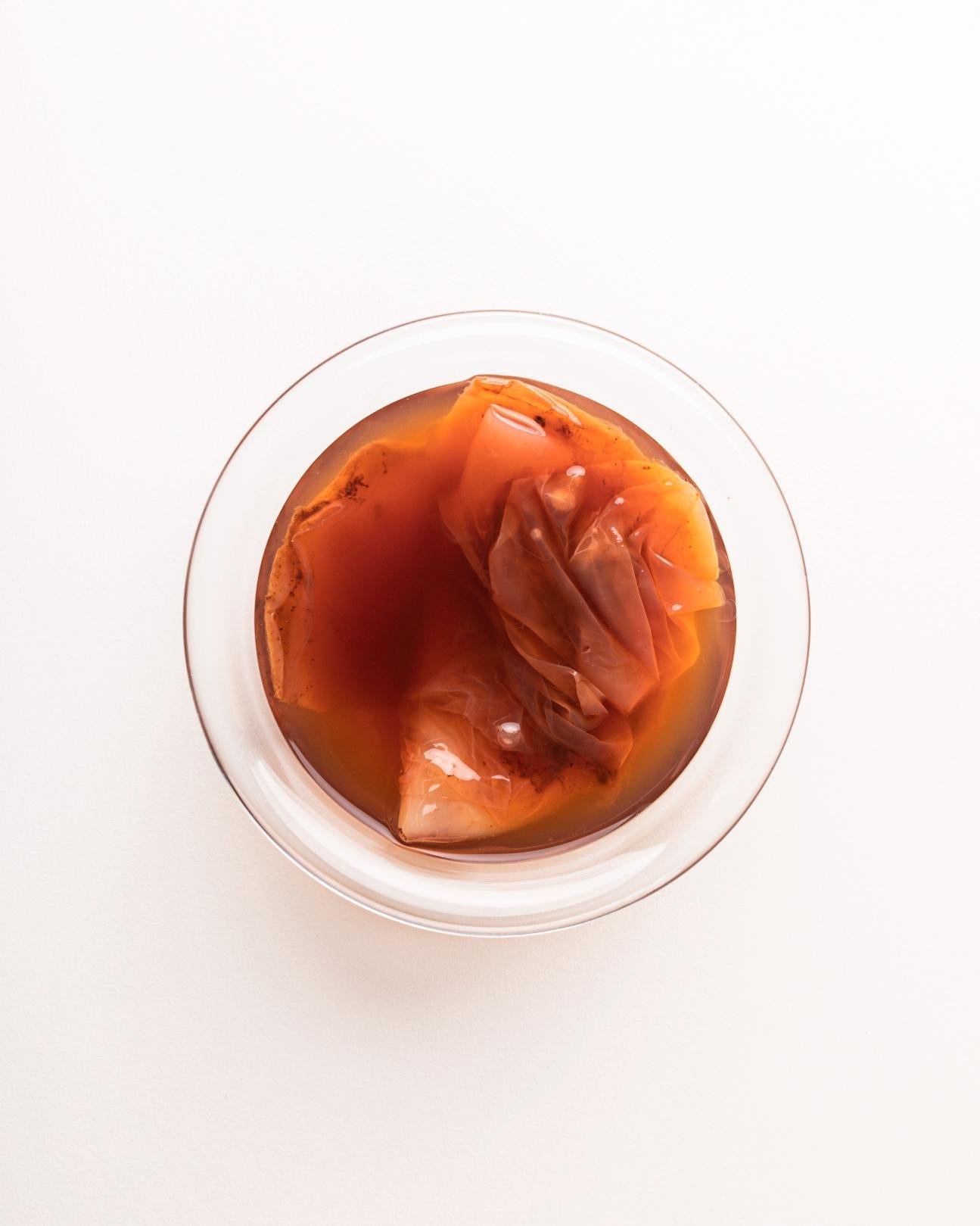 Kombucha al tè nero