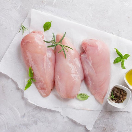 Pollo