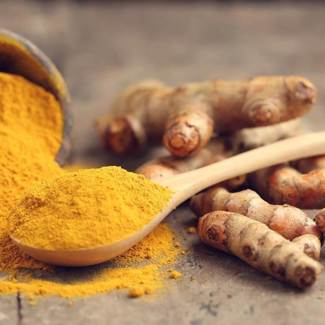 Curcuma