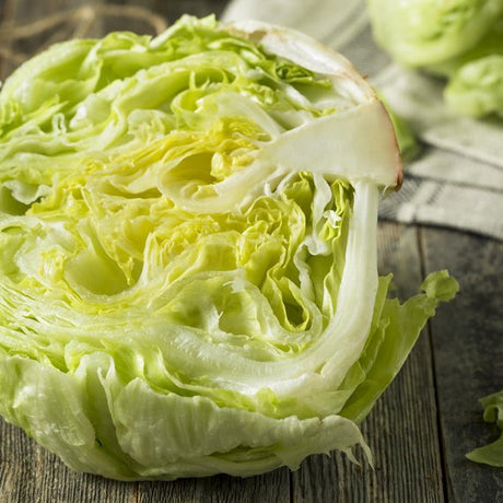Lattuga iceberg