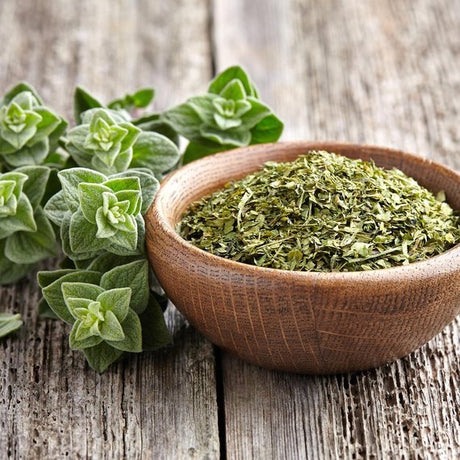 Origano