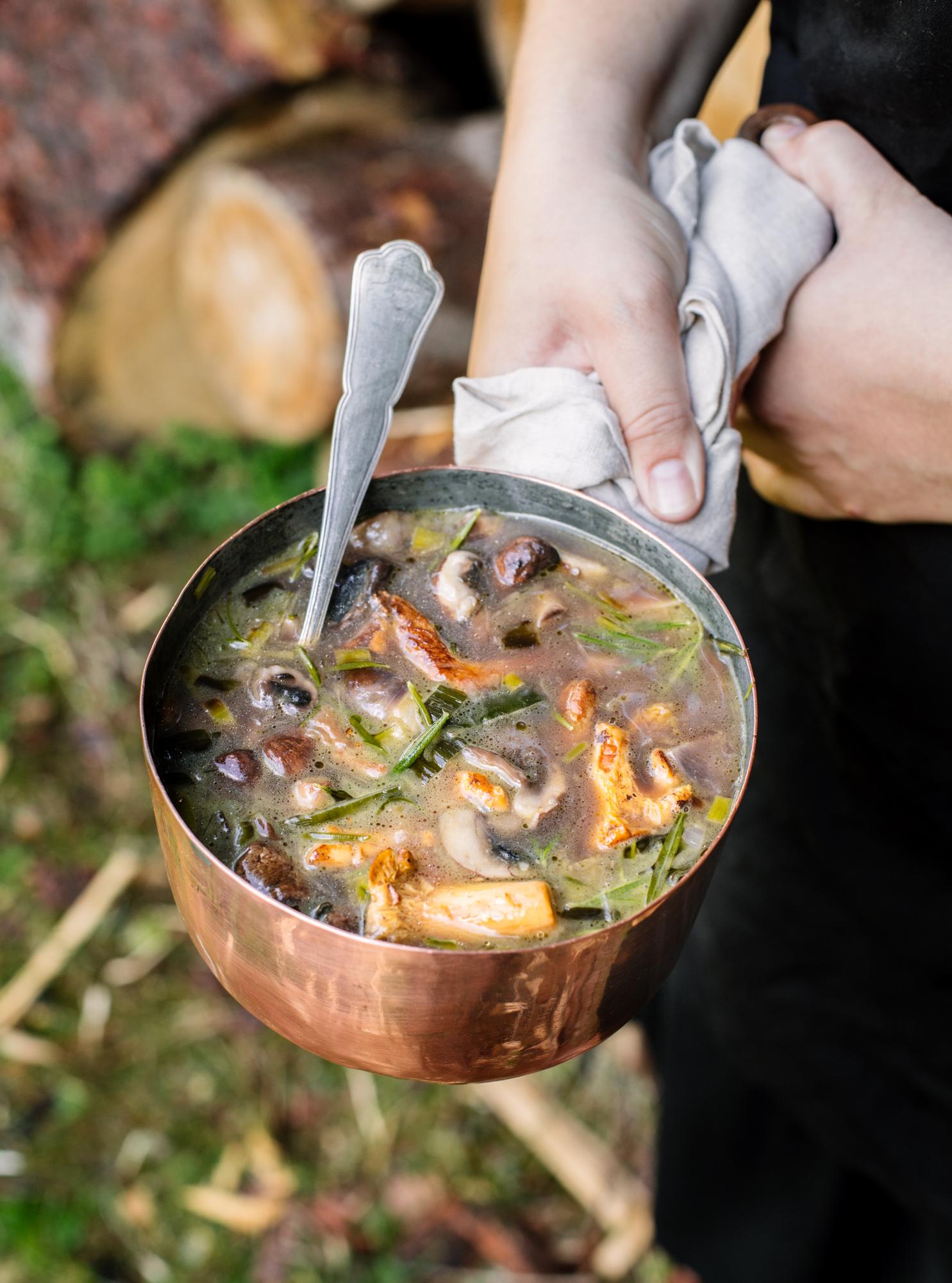 Zuppa di funghi