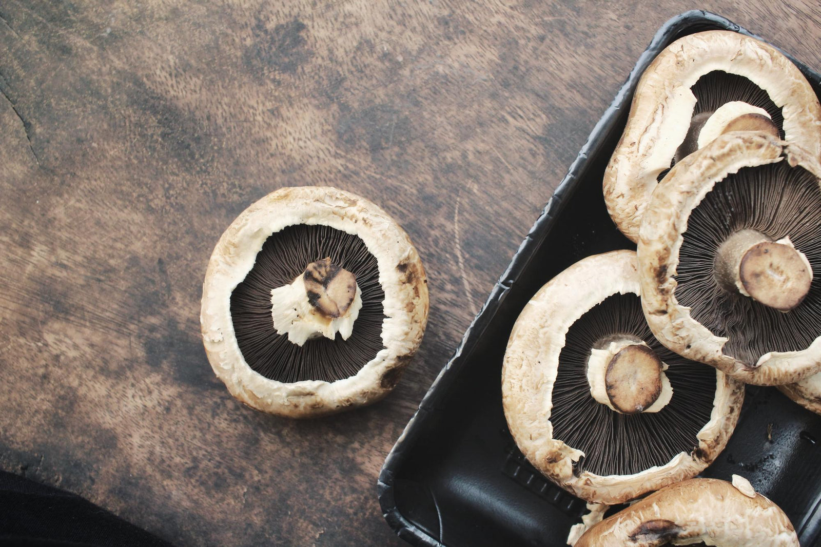 Funghi portobello