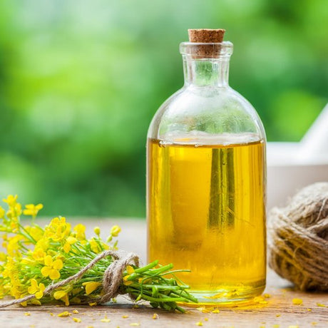 Olio di colza
