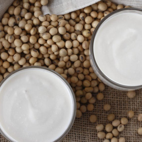 Yogurt di soia