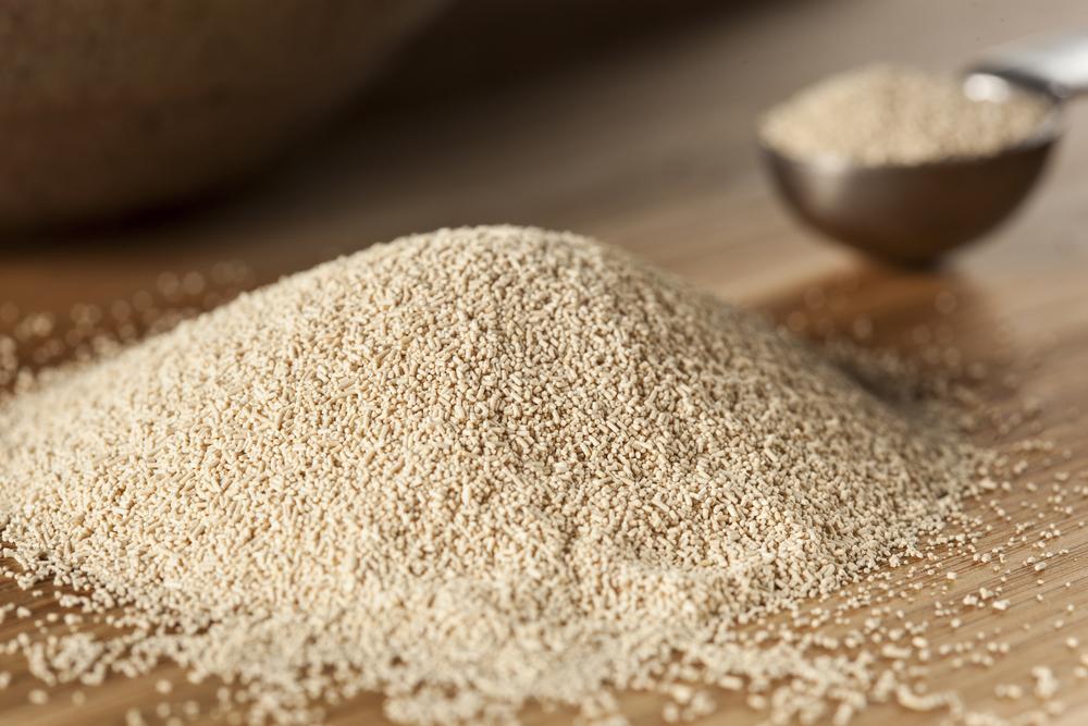 Lievito secco