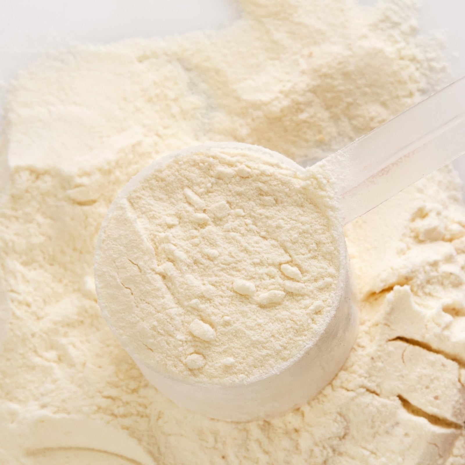 Proteine del siero di latte