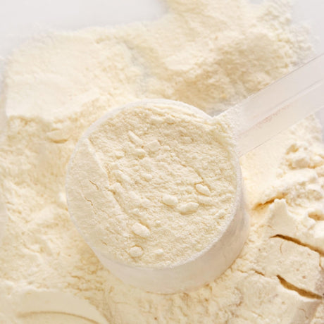 Proteine del siero di latte