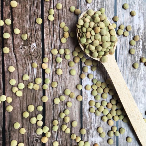 Lenticchie verdi