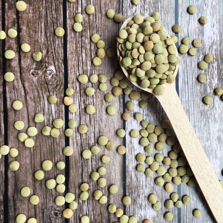 Lenticchie verdi