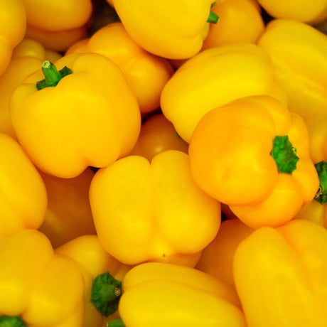 Peperone giallo